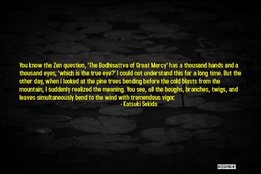 Cold Day Quotes By Katsuki Sekida Cold Day Quotes By Katsuki Sekida