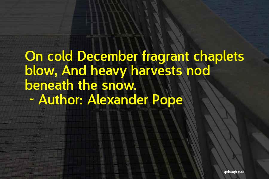 Cold December Quotes By Alexander Pope