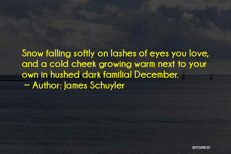 Cold December Quotes By James Schuyler