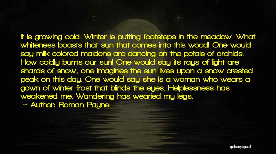 Cold December Quotes By Roman Payne