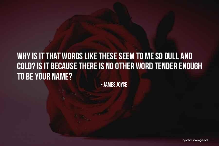Cold Enough To Quotes By James Joyce Cold Enough To Quotes By James Joyce