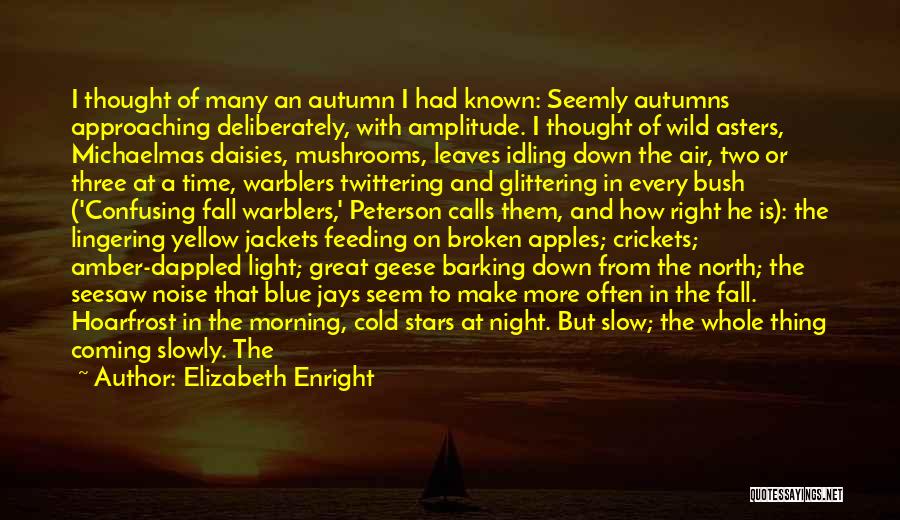 Cold Fall Morning Quotes By Elizabeth Enright