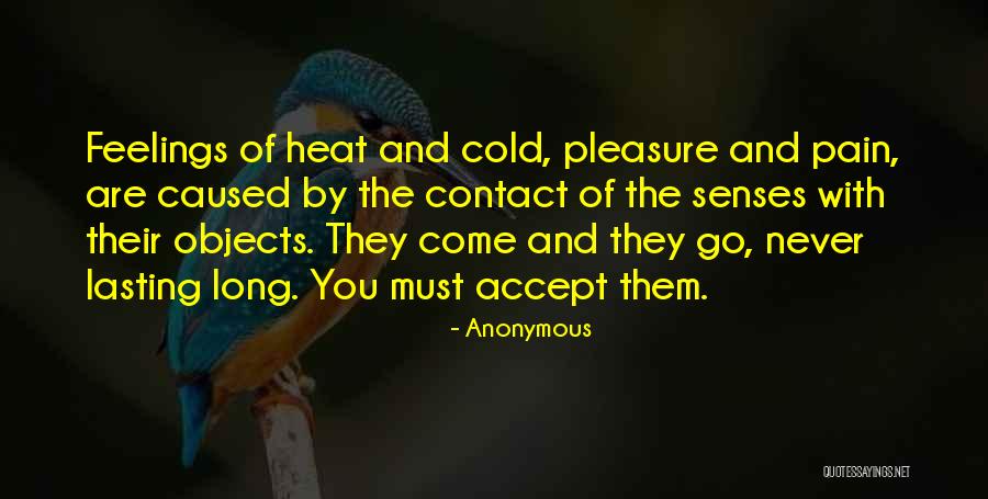 Cold Feelings Quotes By Anonymous