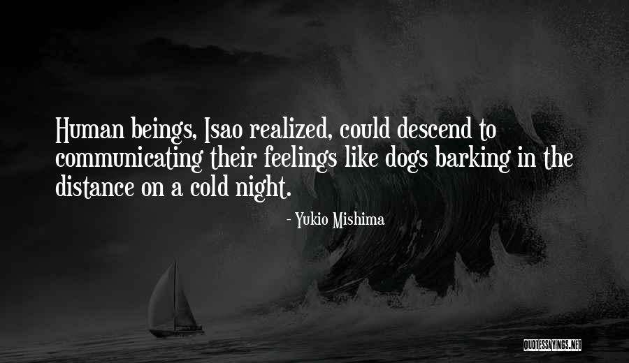 Cold Feelings Quotes By Yukio Mishima
