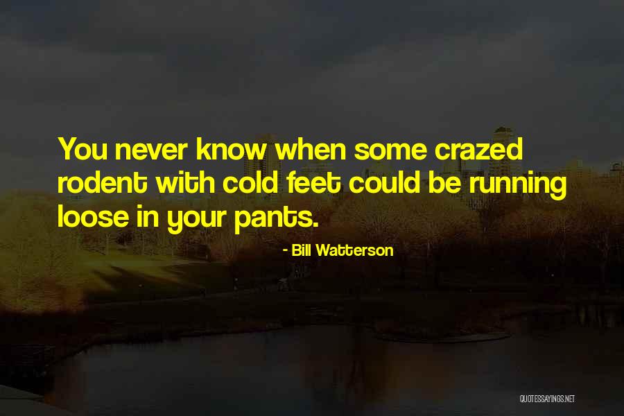 Cold Feet Quotes By Bill Watterson Cold Feet Quotes By Bill Watterson