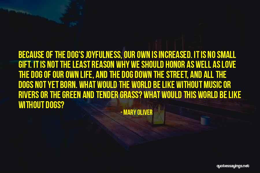 Cold Friday Morning Quotes By Mary Oliver Cold Friday Morning Quotes By Mary Oliver