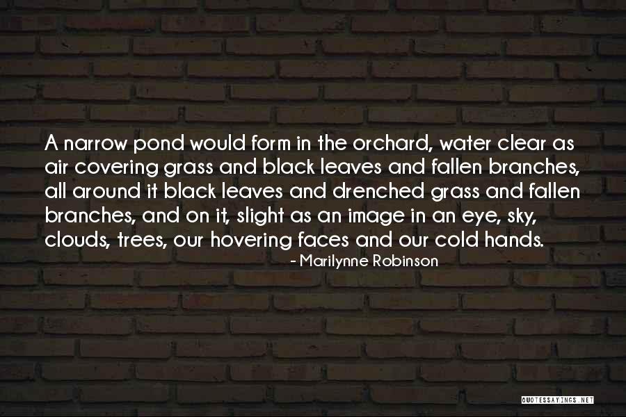 Cold Hands Quotes By Marilynne Robinson