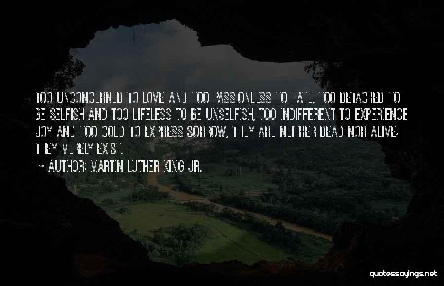Cold Indifferent Quotes By Martin Luther King Jr.