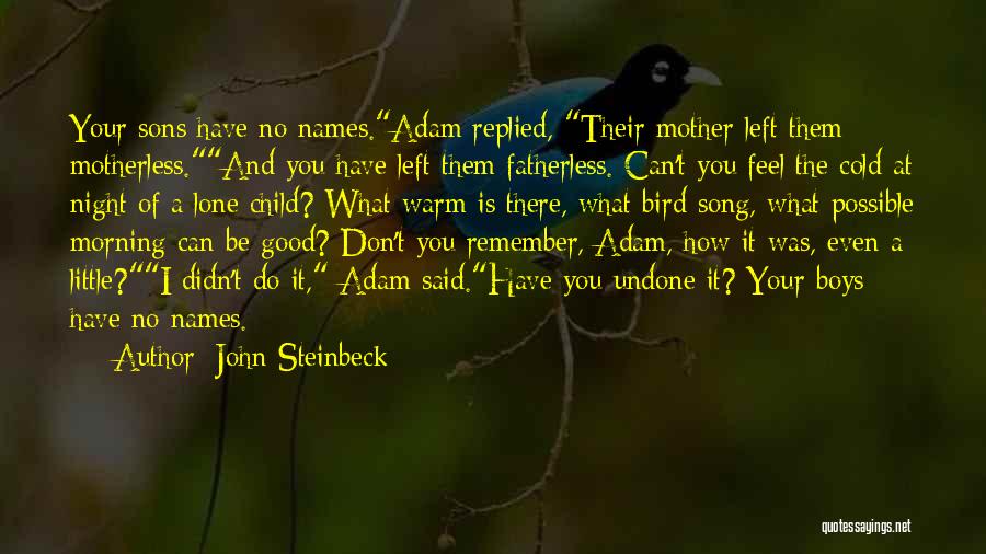 Cold Morning Quotes By John Steinbeck