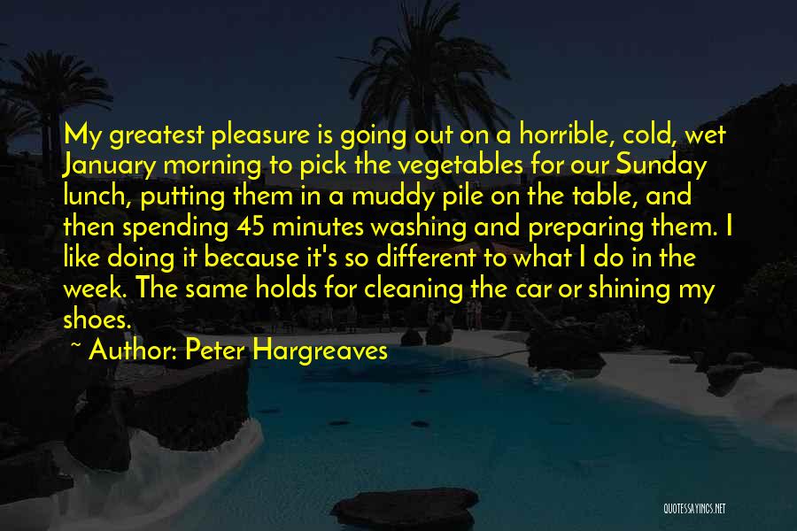 Cold Morning Quotes By Peter Hargreaves