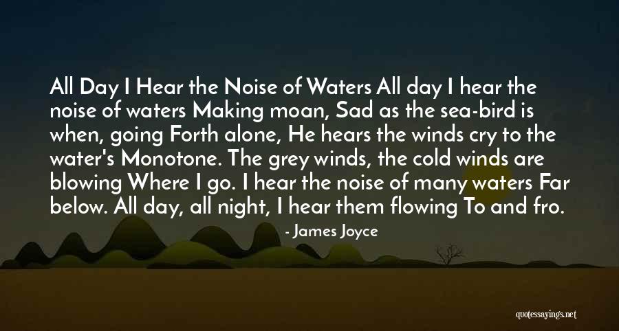 Cold Night Without You Quotes By James Joyce