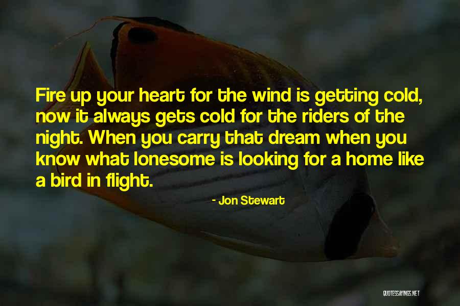 Cold Night Without You Quotes By Jon Stewart