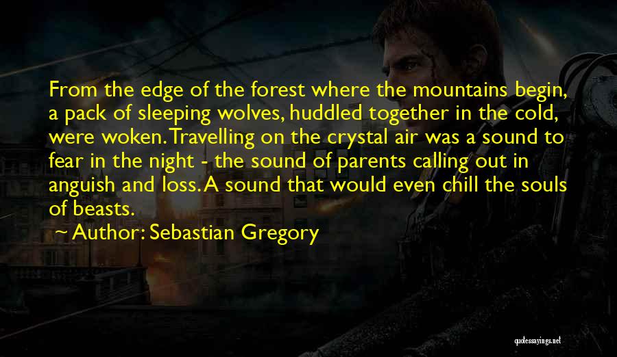 Cold Night Without You Quotes By Sebastian Gregory
