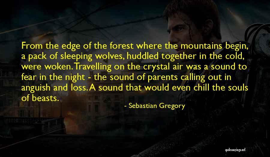 Cold Night Without You Quotes By Sebastian Gregory