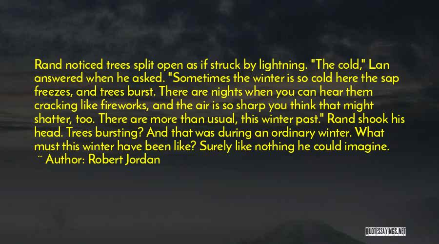 Cold Nights Quotes By Robert Jordan