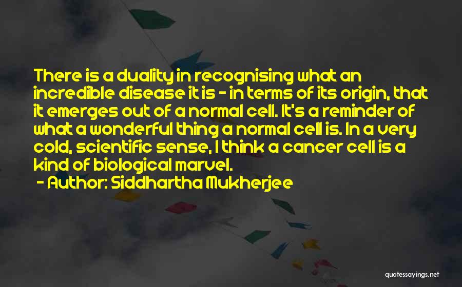 Cold Out Quotes By Siddhartha Mukherjee