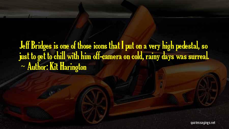 Cold Rainy Days Quotes By Kit Harington