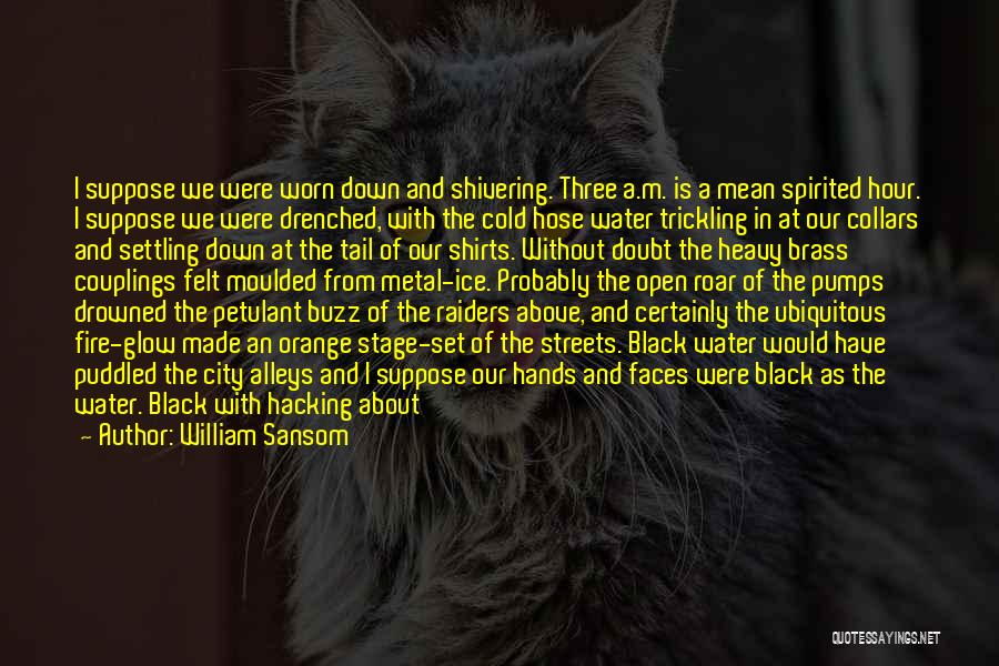 Cold Shivering Quotes By William Sansom