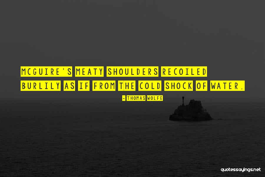 Cold Shoulders Quotes By Thomas Wolfe Cold Shoulders Quotes By Thomas Wolfe