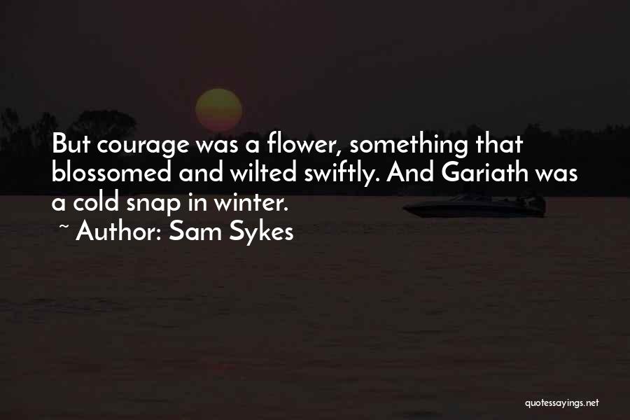 Cold Snap Quotes By Sam Sykes