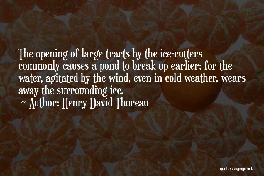 Cold Spring Weather Quotes By Henry David Thoreau