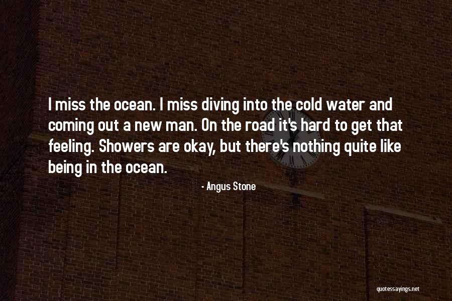 Cold Stone Quotes By Angus Stone