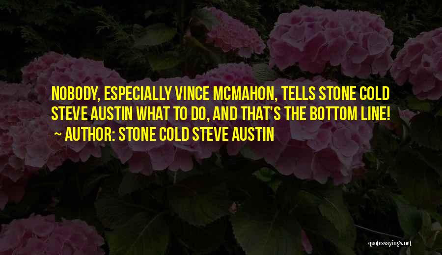 Cold Stone Steve Austin Quotes By Stone Cold Steve Austin