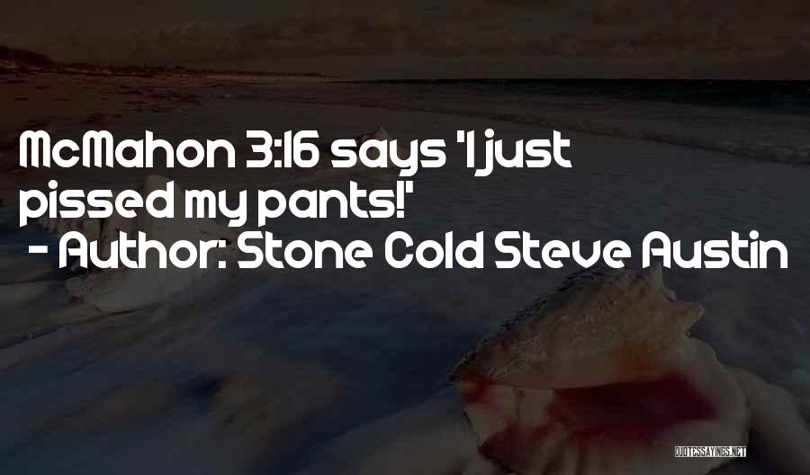 Cold Stone Steve Austin Quotes By Stone Cold Steve Austin