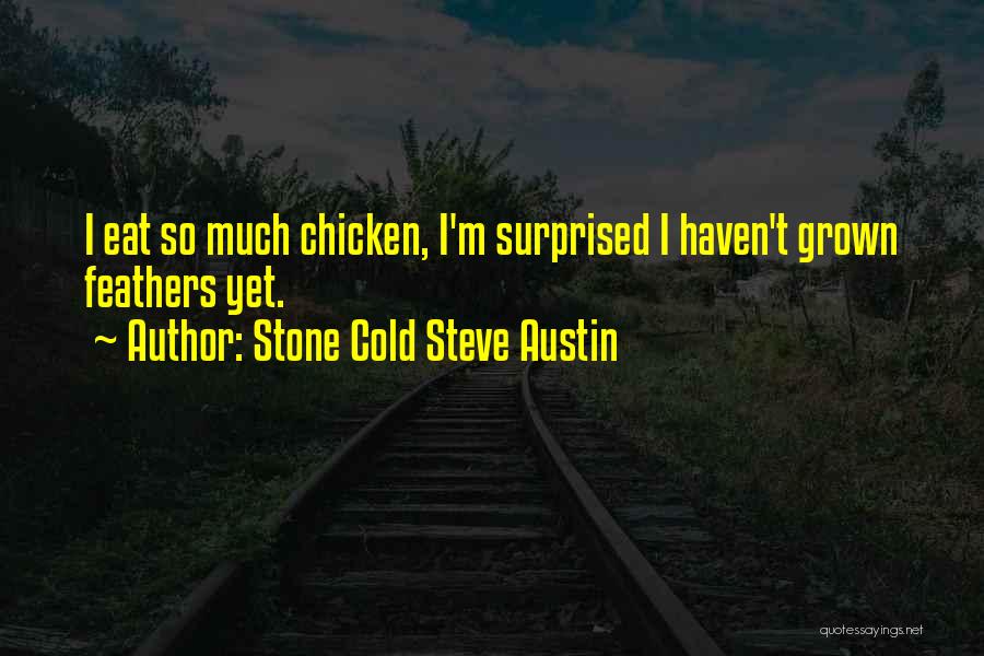 Cold Stone Steve Austin Quotes By Stone Cold Steve Austin