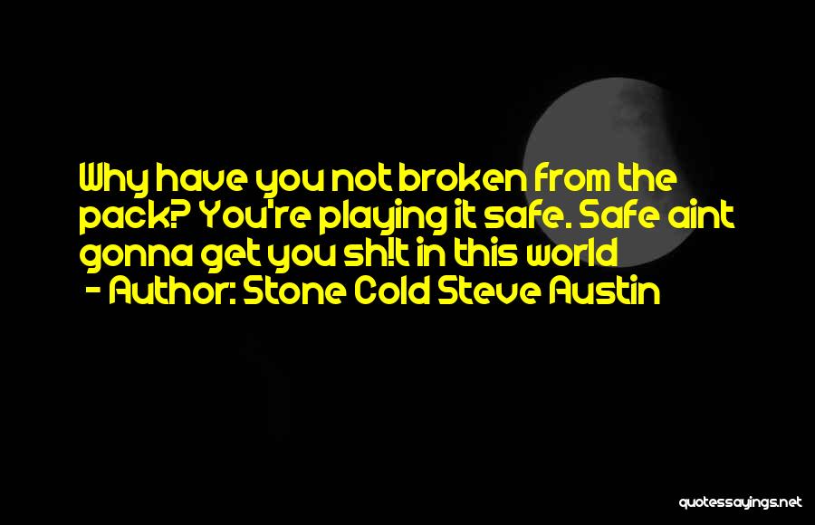 Cold Stone Steve Austin Quotes By Stone Cold Steve Austin