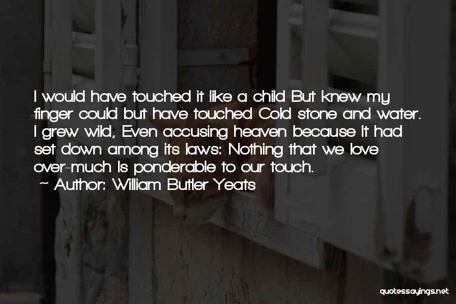 Cold Stone Touch Quotes By William Butler Yeats