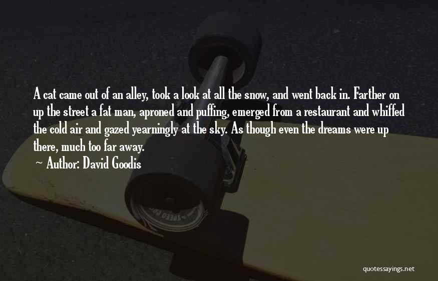 Cold Streets Quotes By David Goodis