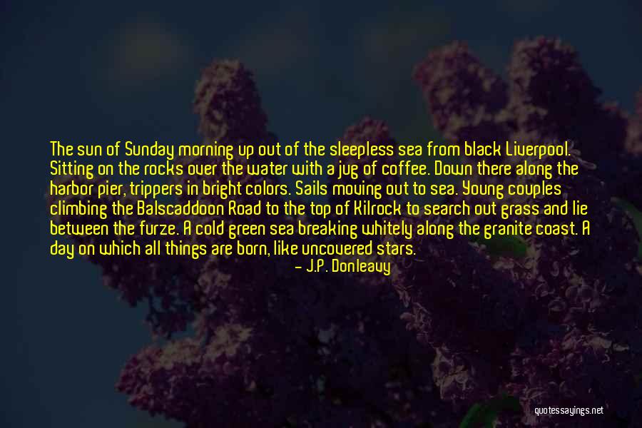 Cold Sunday Morning Quotes By J.P. Donleavy
