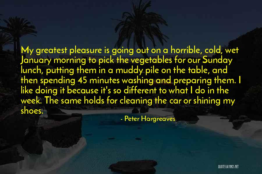 Cold Sunday Morning Quotes By Peter Hargreaves