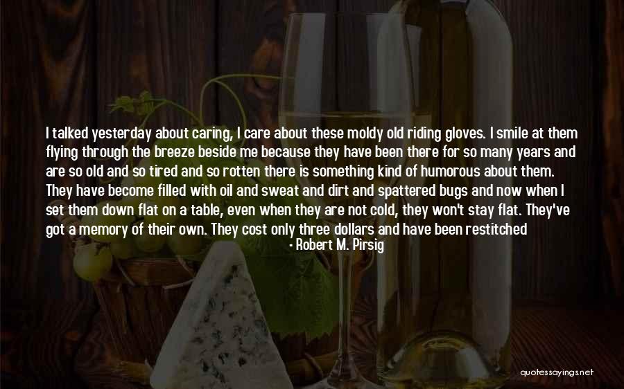 Cold Sweat Quotes By Robert M. Pirsig