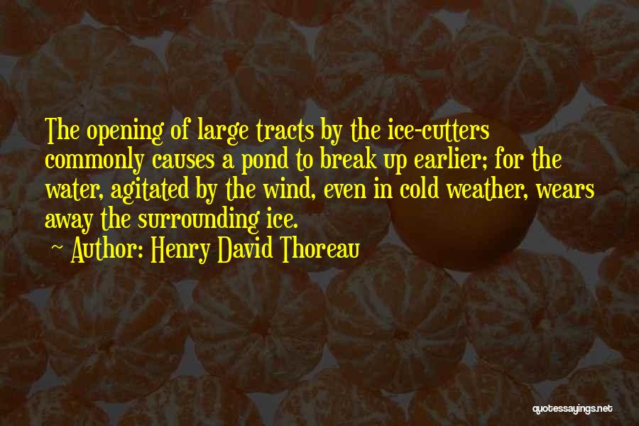 Cold Weather In Spring Quotes By Henry David Thoreau