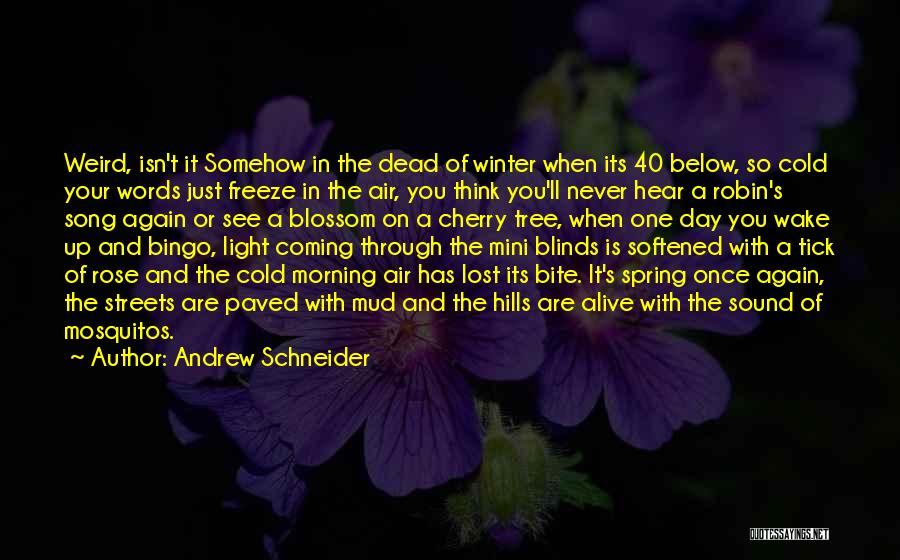 Cold Winter Morning Quotes By Andrew Schneider