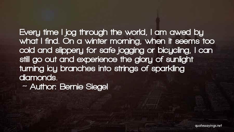 Cold Winter Morning Quotes By Bernie Siegel