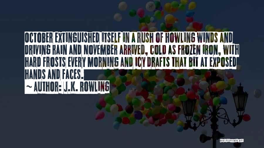 Cold Winter Morning Quotes By J.K. Rowling