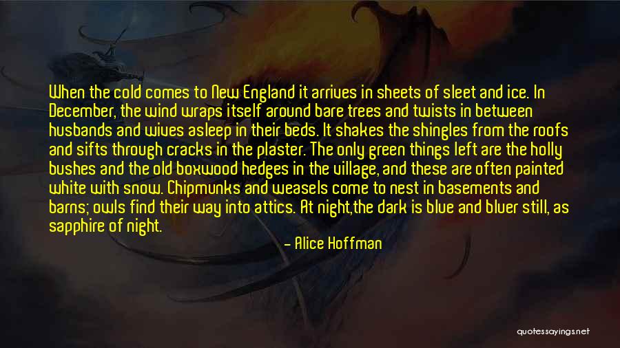 Cold Winter Night Quotes By Alice Hoffman Cold Winter Night Quotes By Alice Hoffman
