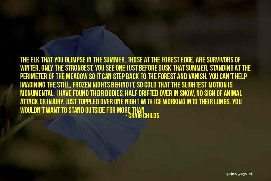 Cold Winter Night Quotes By Craig Childs Cold Winter Night Quotes By Craig Childs
