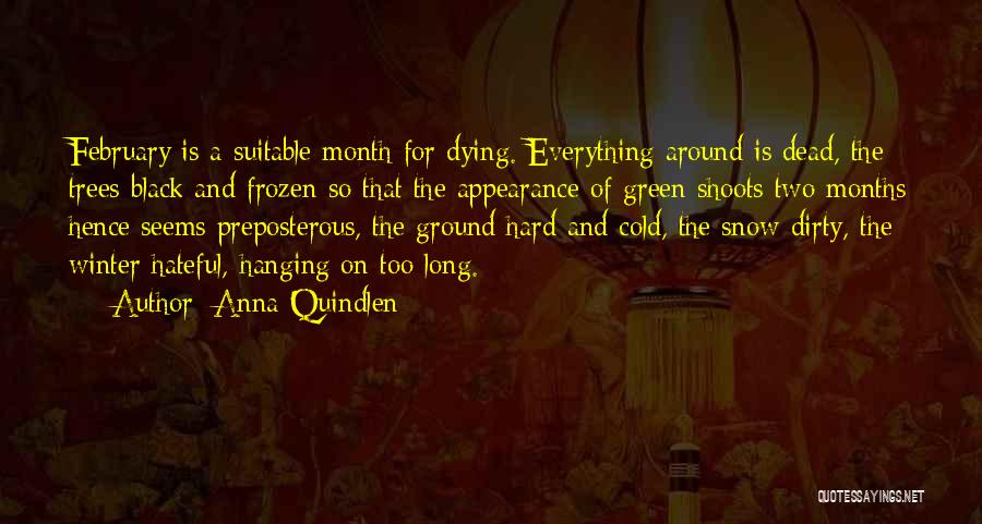 Cold Winter Snow Quotes By Anna Quindlen
