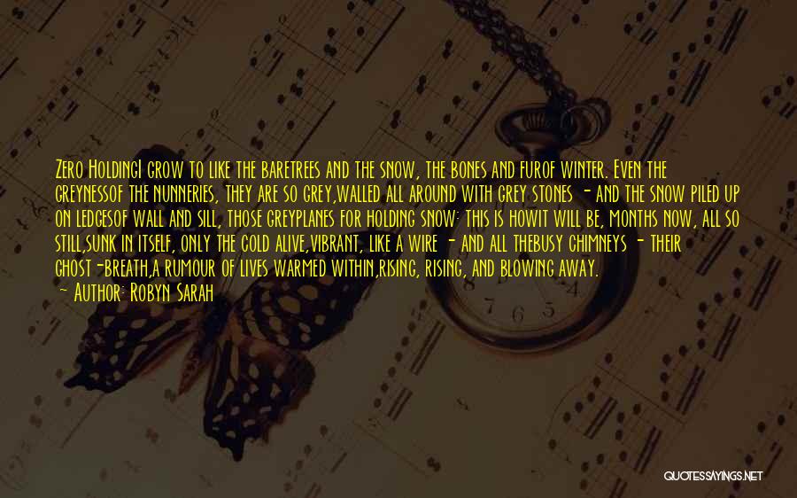 Cold Winter Snow Quotes By Robyn Sarah