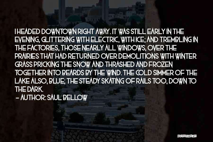 Cold Winter Snow Quotes By Saul Bellow