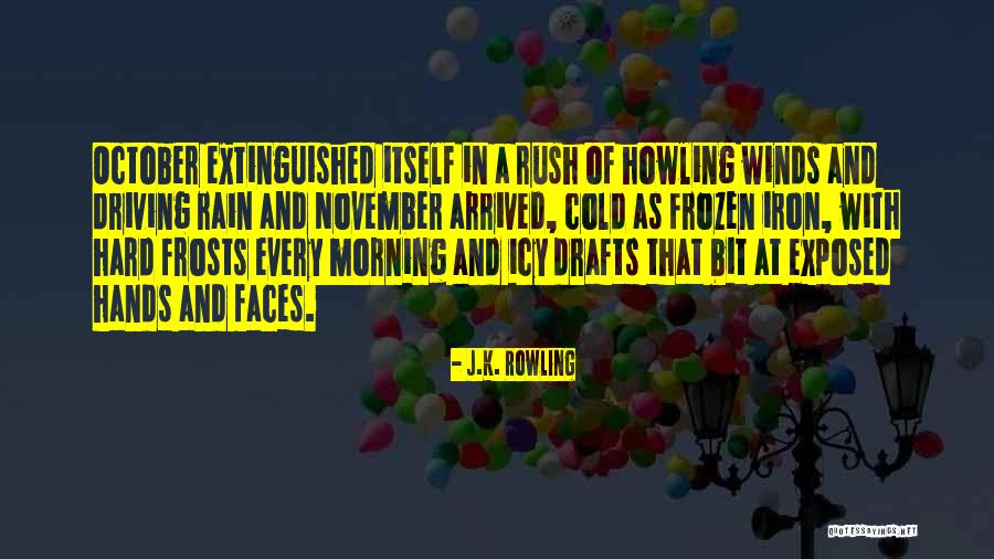 Cold Winter Weather Quotes By J.K. Rowling