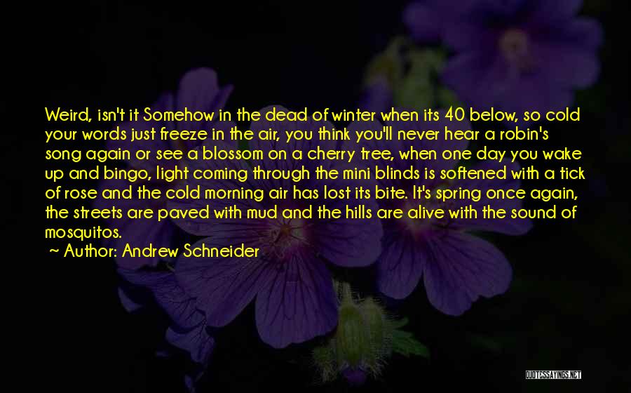 Cold Winter's Day Quotes By Andrew Schneider