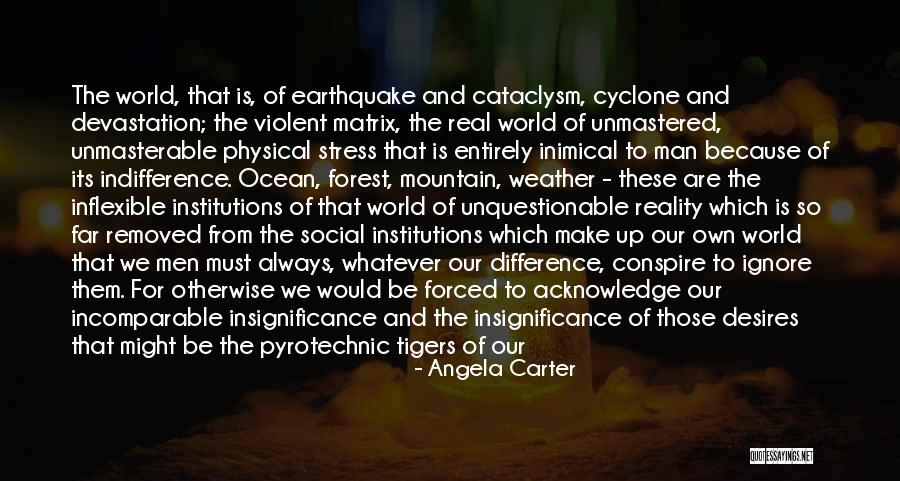 Cold World Quotes By Angela Carter