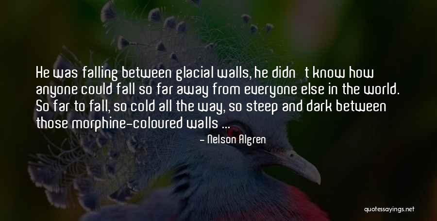 Cold World Quotes By Nelson Algren Cold World Quotes By Nelson Algren
