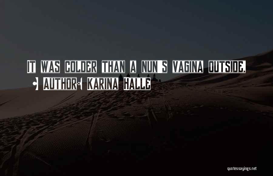 Colder Than Quotes By Karina Halle