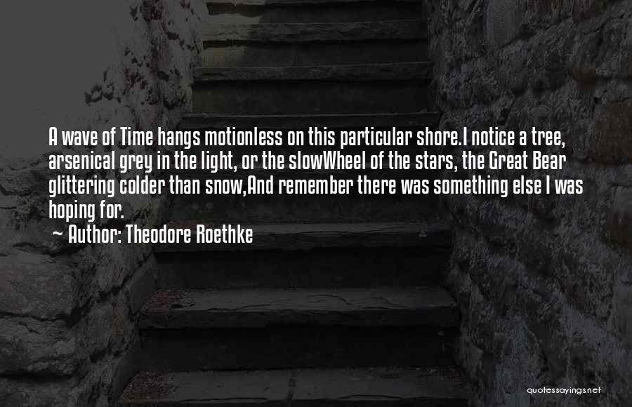 Colder Than Quotes By Theodore Roethke